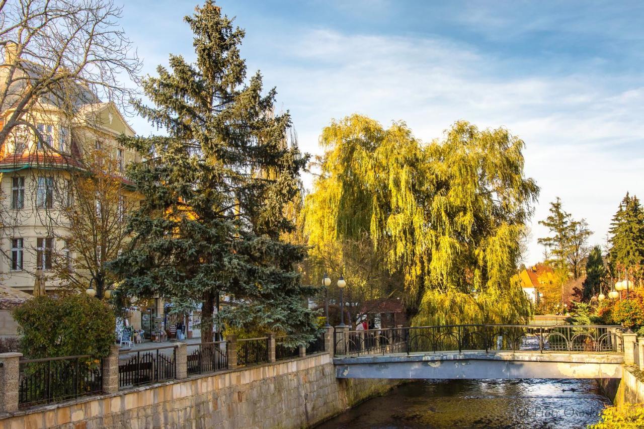 Apartament Polaniczanka Polanica-Zdrój Exteriör bild
